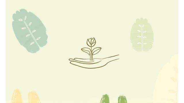 天然スキンケア完全ガイドの表紙